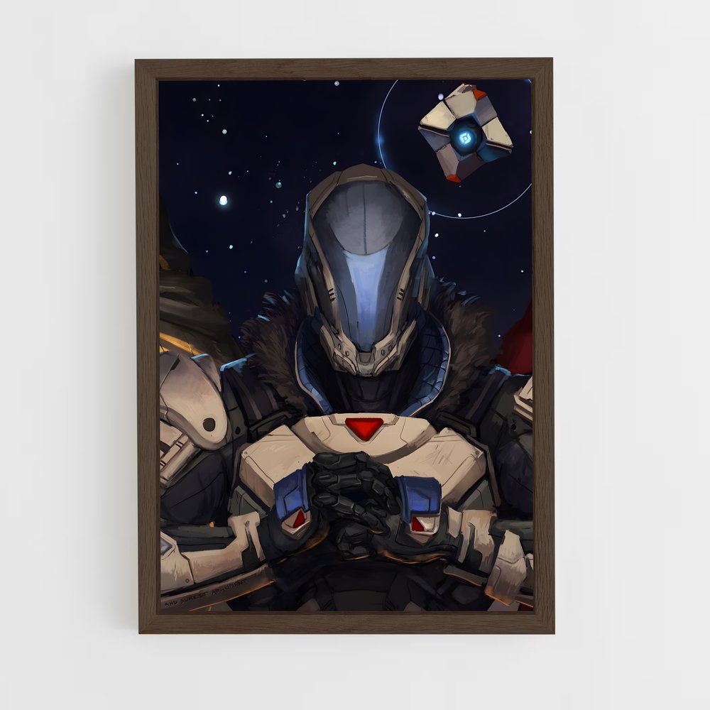 Poster Gardien des Titans – affiche Destiny (vue 5)